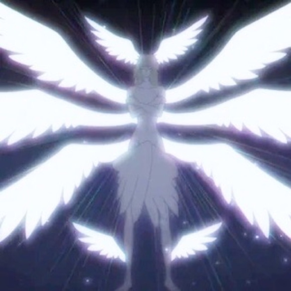 Meet your Posher, Josh